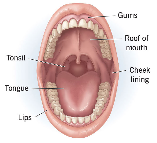 Oral Cancer Treatment in Chennai